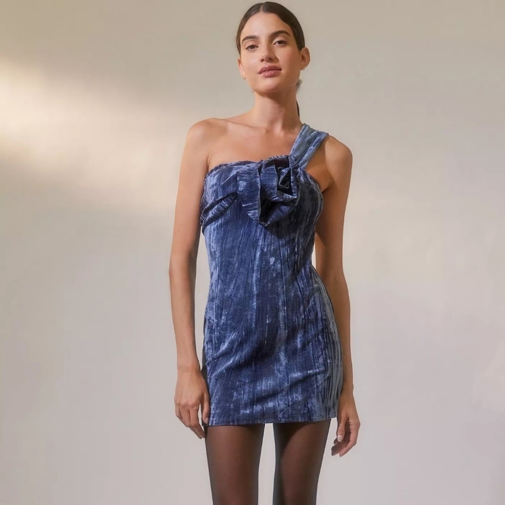 Urban Outfitters Dahlia Rosette Velvet Mini Dress - Picture 4 of 16